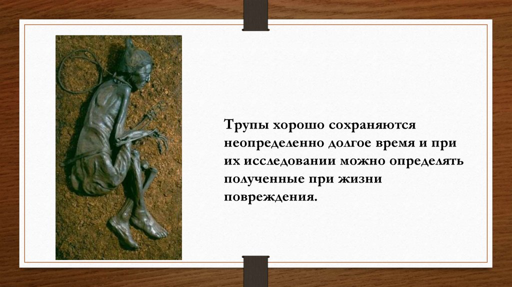 Поздней почему д. Торфяное дубление трупа. Тела сохранившиеся в болотах.