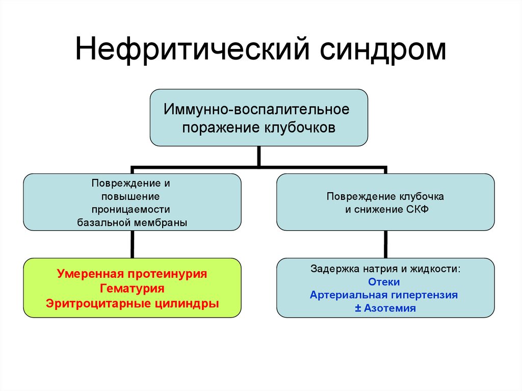 Нефротический синдром патогенез схема