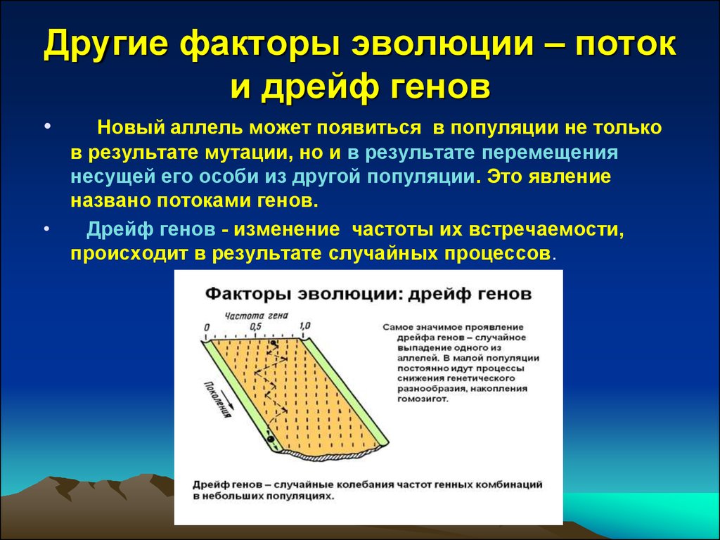 Дрейф генов схема