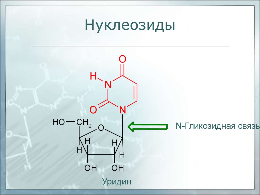 Схема гидролиза нуклеозидов