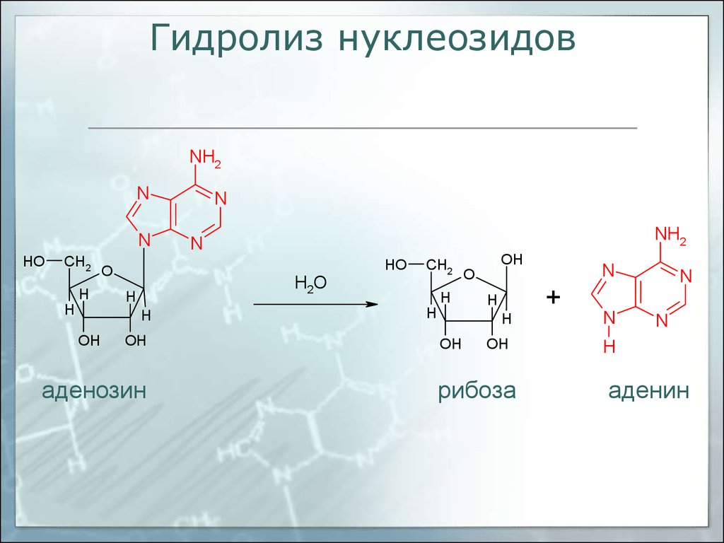 Рибоза реакция гидролиза. Гидролиз адениловой кислоты. Аденозин-5’-монофосфата. Неполный гидролиз адениловой кислоты.