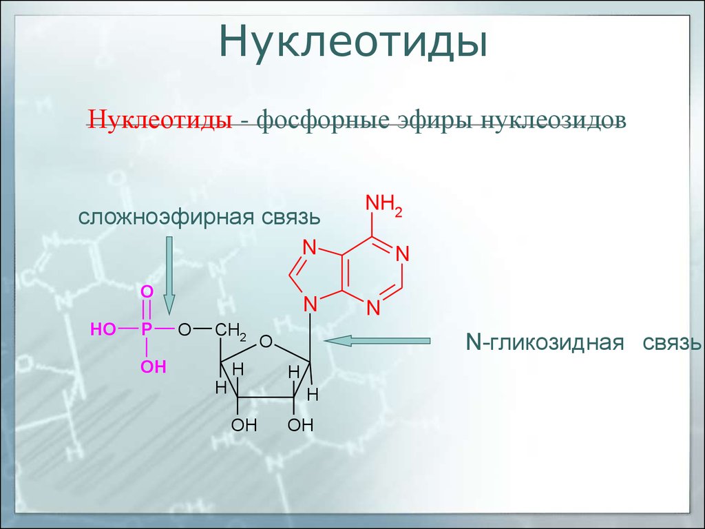 Нуклеотид представляет собой. 5 Формул нуклеотидов. Нуклеотиды это фосфорные эфиры нуклеозидов. Нуклеотид 5 гуаниловой кислоты. Связи в нуклеотидах.