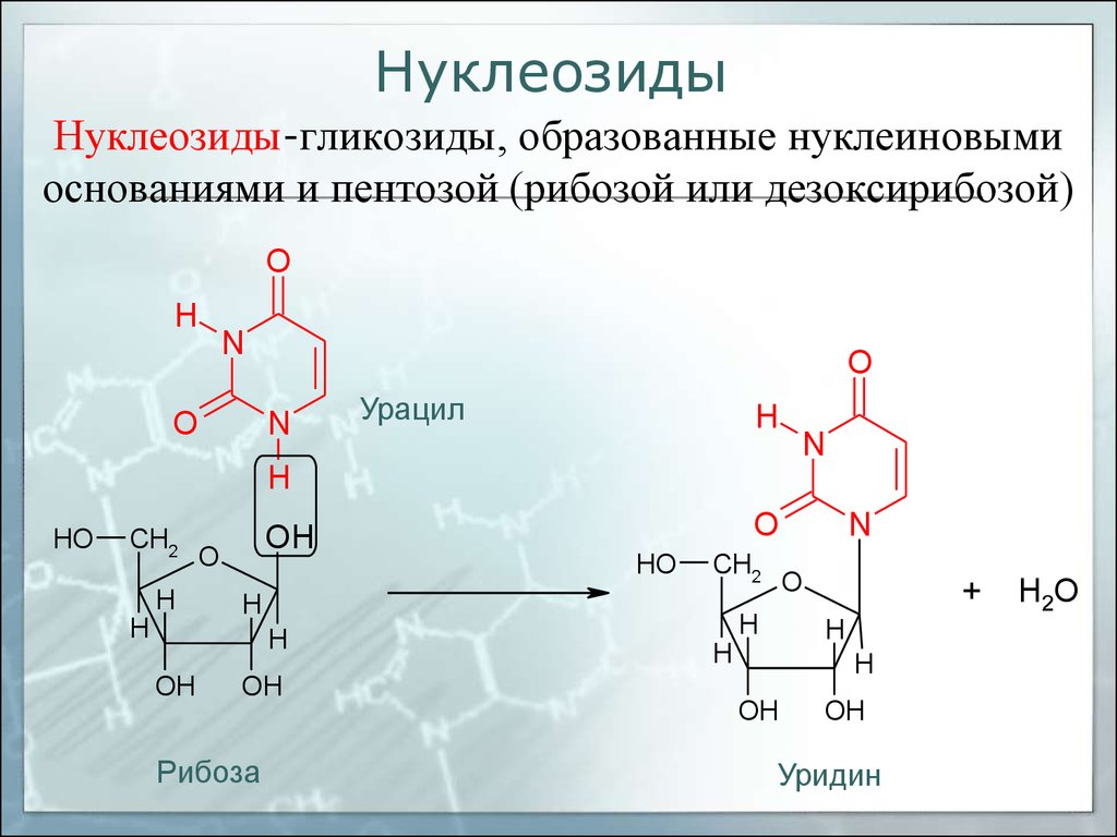 Какие из нуклеотидов входят в состав днк. Строение нуклеозидов и нуклеозидов. Нуклеозиды ДНК формулы. Строение нуклеозидов и нуклеотидов. Нуклеотиды нуклеозиды нуклеиновые кислоты.