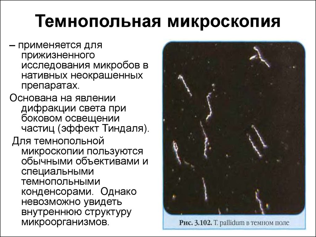 Форум микроскопии