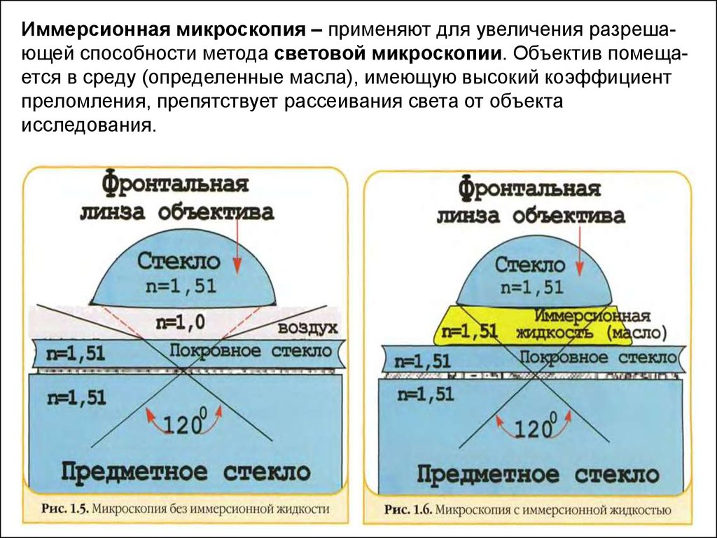 Масло для микроскопии. Иммерсионная система микроскопа. Иммерсионная система оптического микроскопа. Световая микроскопия с иммерсионным объективом. Иммерсионная система микроскопии.