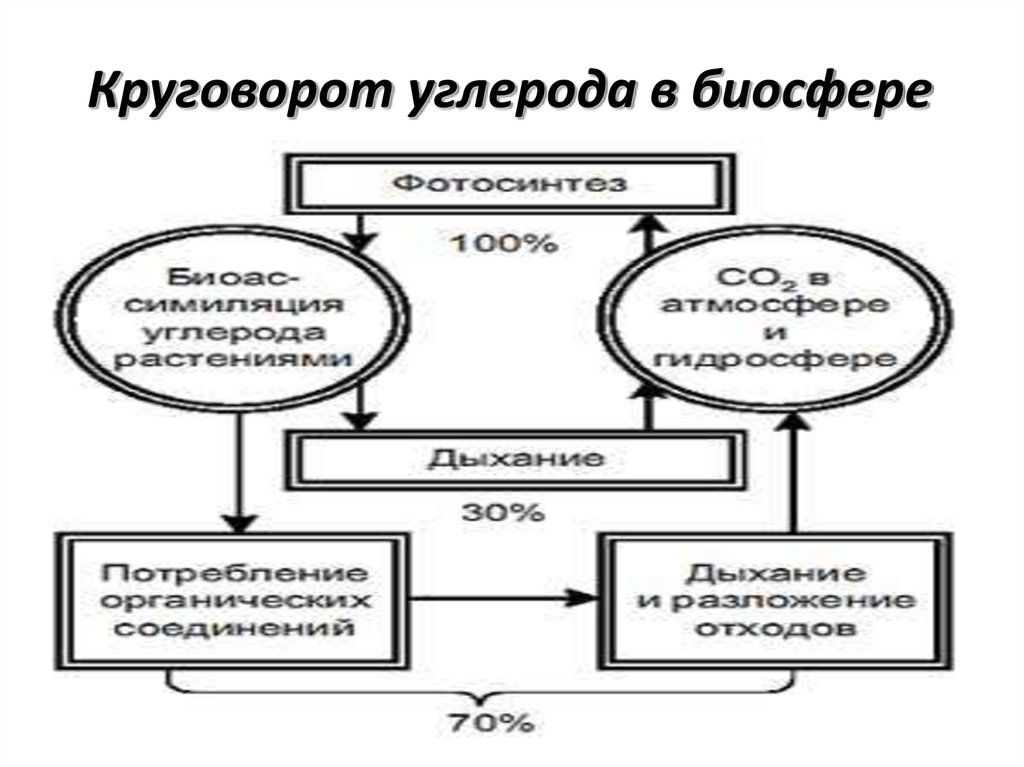 Последовательность этапов углерода. Упрощенная схема углерода в биосфере. Круговорот углерода в биосфере схема. Круговорот углерода в биосфере. Упрощенная схема круговорота углерода.