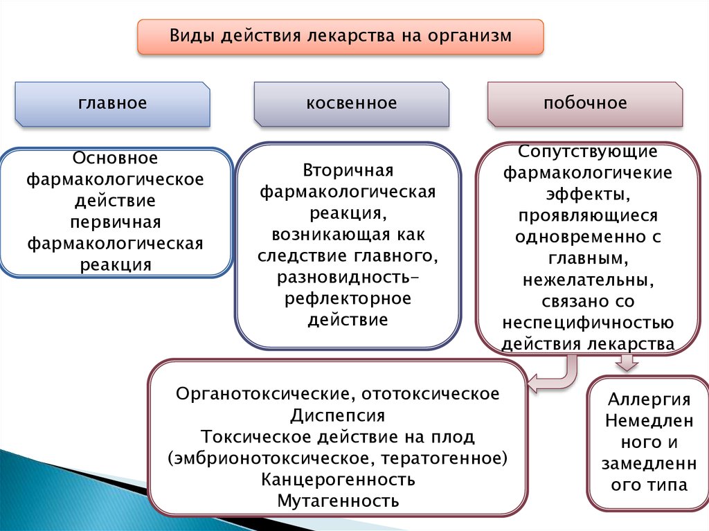 Исследование в действии презентация