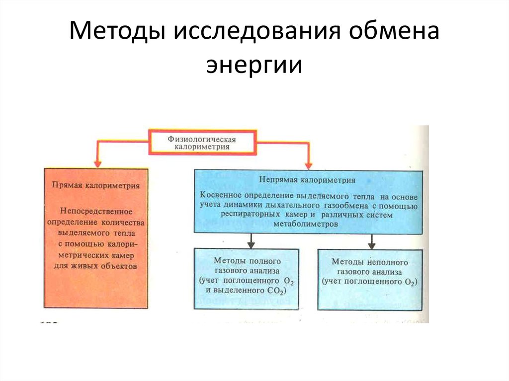 В обмене веществ различают