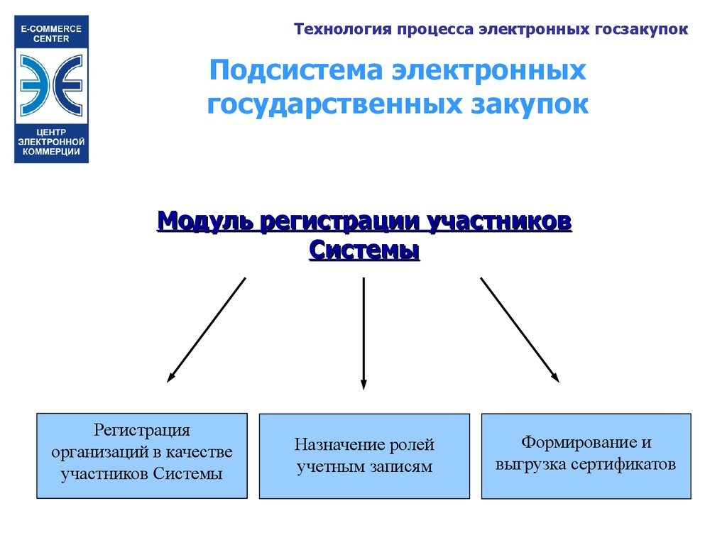 Системы участников. Участники системы государственных закупок. Электронная система государственных закупок. Электронные системы закупок презентация. Электронная подсистема паф2000.