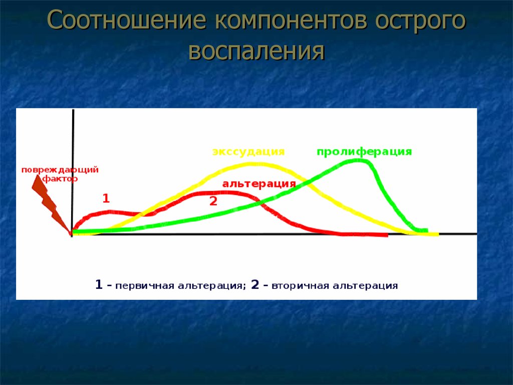 Воспаление презентация по патофизиологии