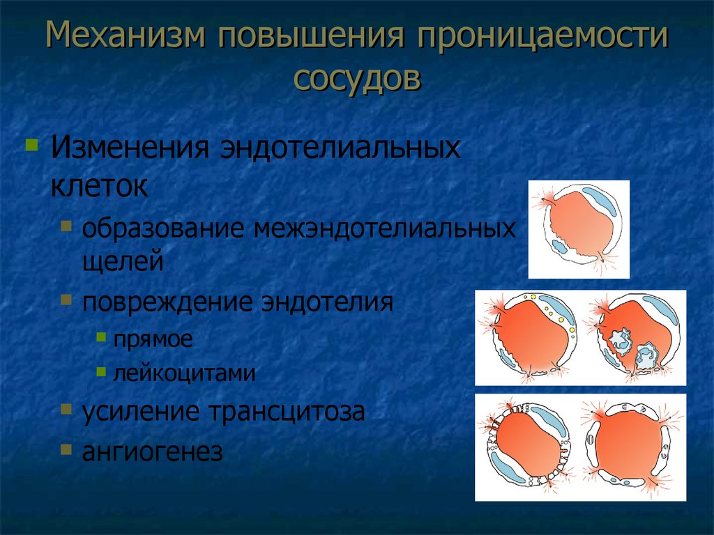 Проницаемость сосудов фото