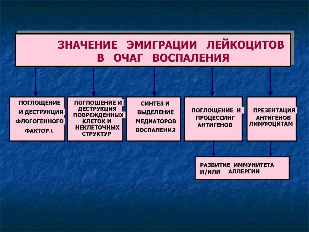 Что такое эмигранты