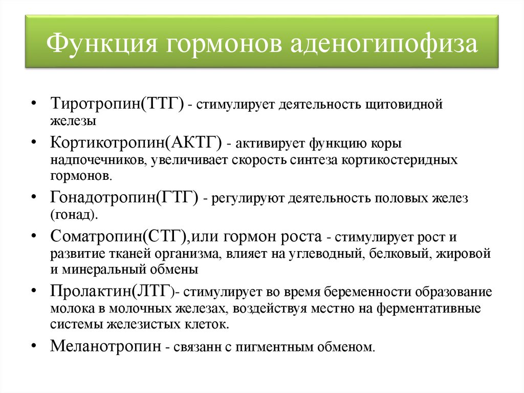 Проект гормоны и их функции