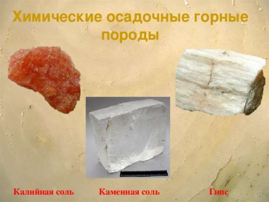 Примеры химических горных пород. Калийная соль осадочная Горная. Каменная соль осадочная Горная порода. Осадочные химические горные породы примеры. Осадочные неорганические химические горные породы.