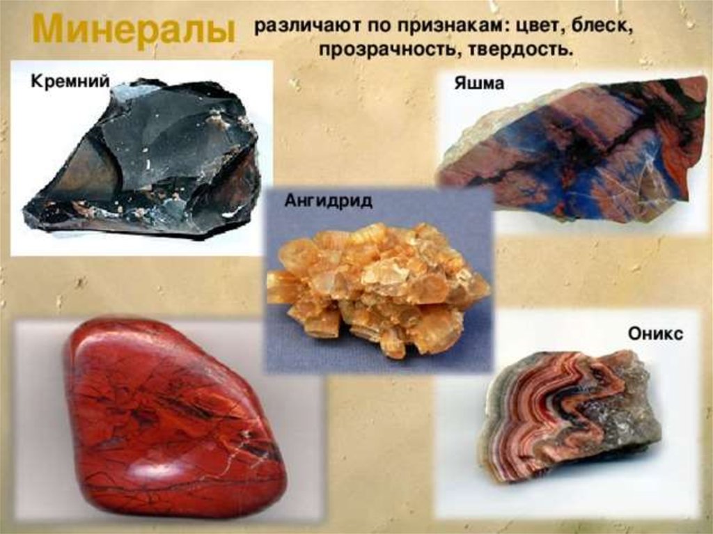 Приведи примеры минералы. Горные породы и минералы. Минералы и горные полрод. Минеральные горные породы. Образцы горных пород и минералов.