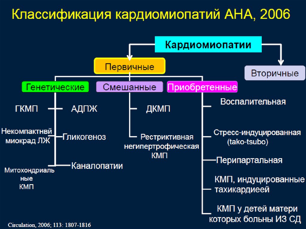 Диффузные метаболические. Патогенез гипертрофической кардиомиопатии. Синдромы гипертрофической кардиомиопатии. Вторичные кардиомиопатии классификация. Классификация первичных кардиомиопатий.