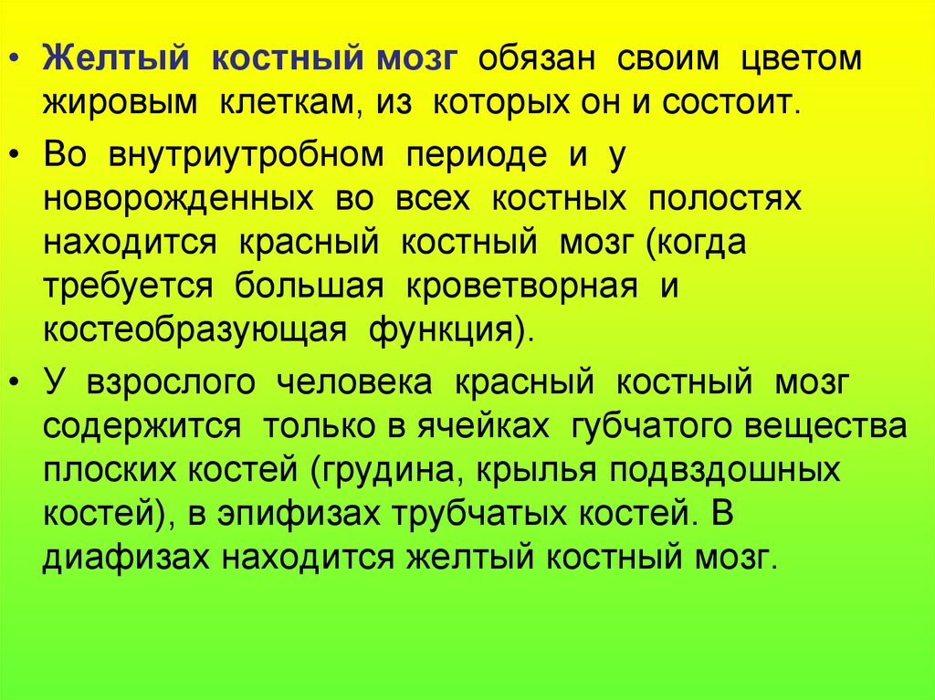 Костные мозги. Функции красного и желтого костного мозга. Жел ыц костныц мозг функции. Желтый костный мозг функции. Функция;tknjuj костного мозга.