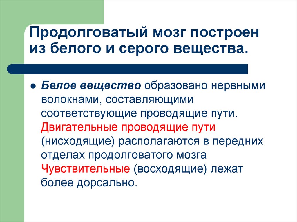 Белое вещество образовано. Функции белого вещества продолговатого мозга. Структуры серого вещества продолговатого мозга. Структуры белого вещества продолговатого мозга. Продолговатый мозг расположение серого и белого вещества.