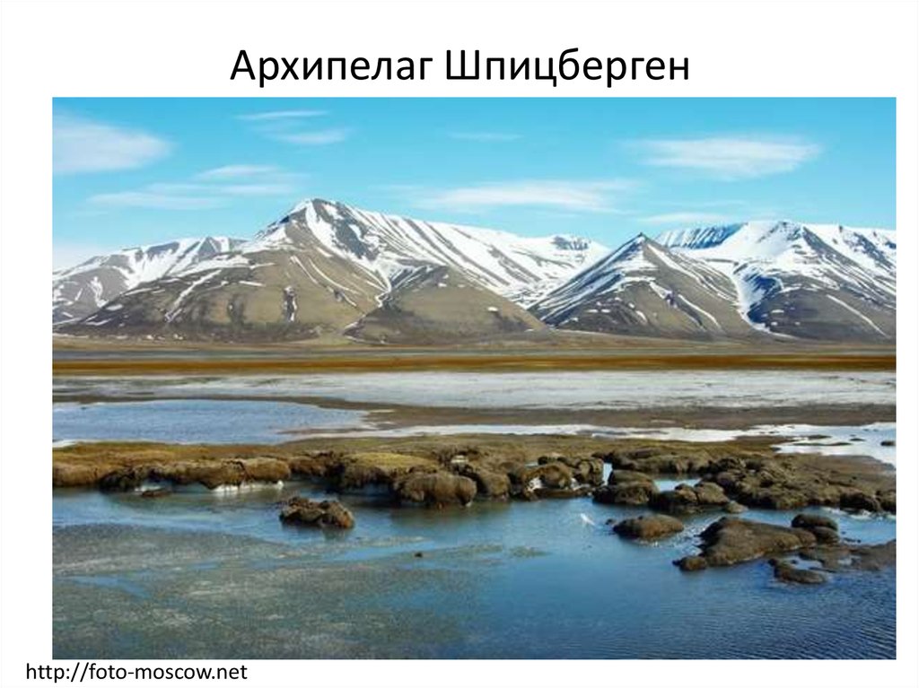 Название заповедников в арктических пустынях. Архипелаг остров Врангеля. Зона арктических пустынь остров Врангеля. Заповедник Врангеля арктических пустынь. Арктический заповедник остров Врангеля.