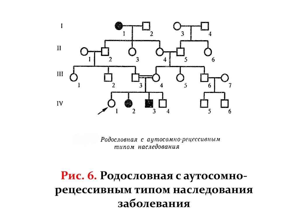 Рецессивный тип. Аутосомно-рецессивный Тип родословная. Родословная генетика аутосомно рецессивное. Родословная с аутосомно-рецессивным типом наследования. Генеалогический метод типы наследования.