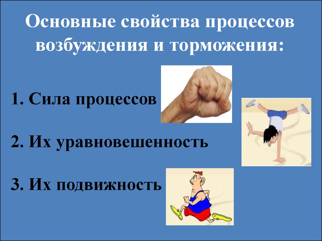 Усилий в процессе. Свойства процессов возбуждения и торможения. Уравновешенностьпроцессов аозбуждения и томожения. Подвижность нервных процессов характеристика. Сила уравновешенность подвижность.