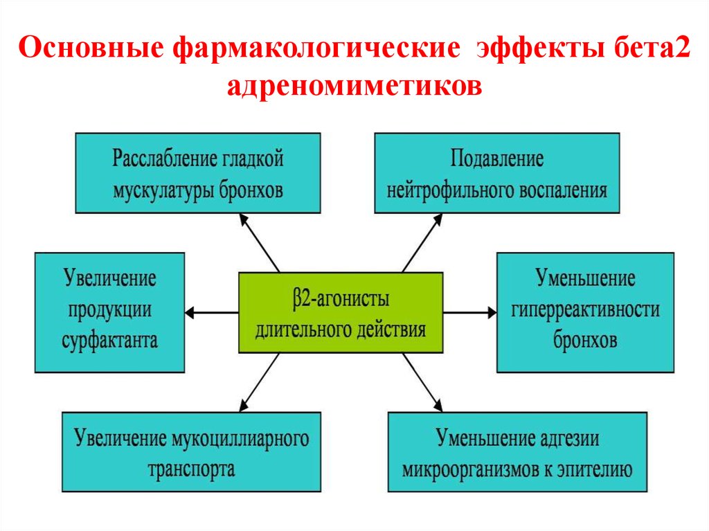 Бета 2 адреномиметики презентация