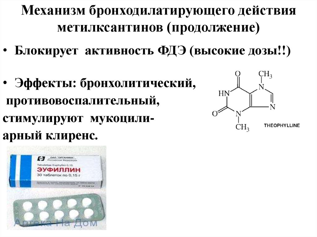 Бронхолитики презентация фармакология