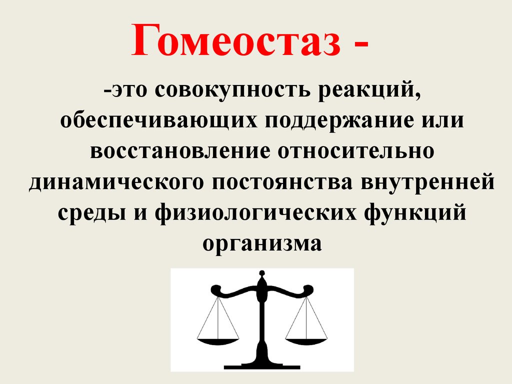 Гомеостаз картинки для презентации