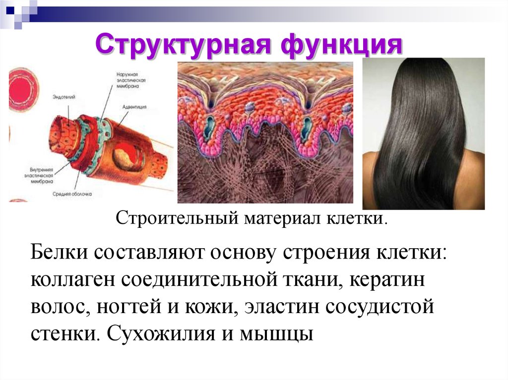 Структурные возможности