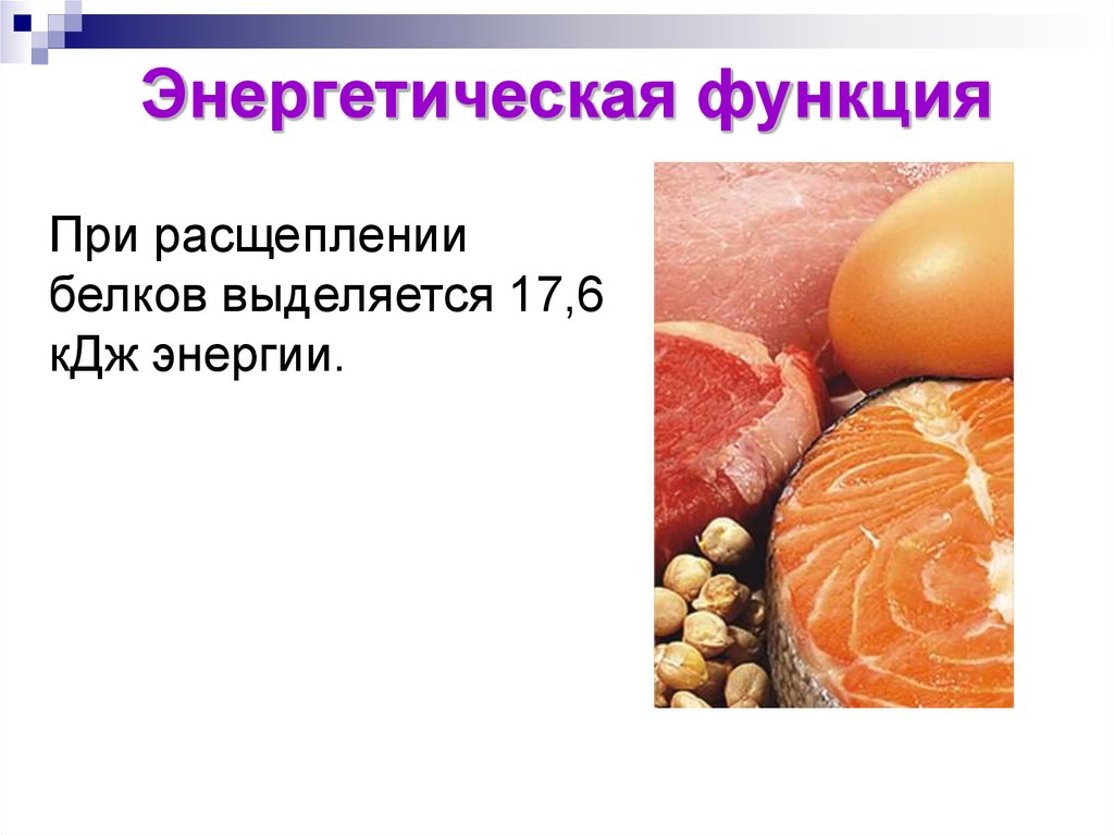 Энергетический белок. Энергетическая функция белков роль. Функции белков энергетическая функция. Энергетическая функция белков в организме человека. Энергетическая функия белков.