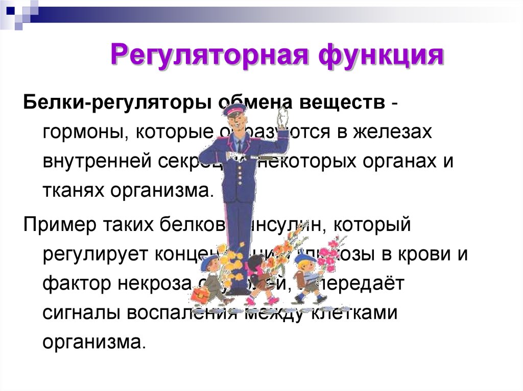 Пример регуляторной функции