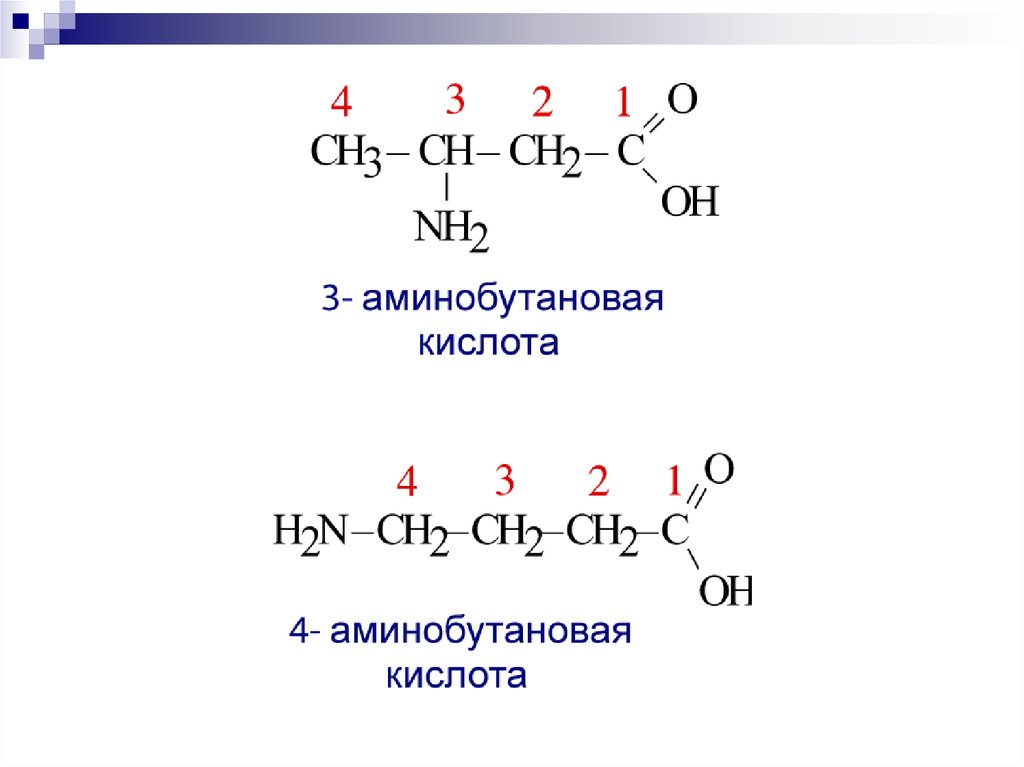 1 2 аминобутановая кислота. Формула 4 аминобутановой кислоты. Энантиомеры 4-аминобутановой кислоты. 4 Аминобутановая кислота формула. Аминобутановая кислота формула.