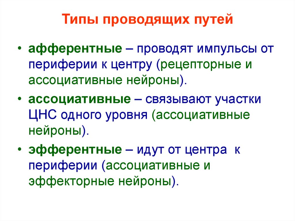 Афферентные и эфферентные пути. Афферентный эфферентный ассоциативный. Афферентные и эфферентные Нейроны. Афферентные эфферентные и ассоциативные Нейроны.