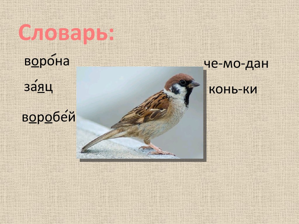 Словарь - презентация онлайн