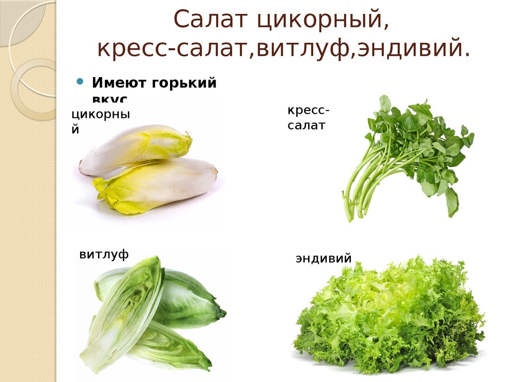 Какой салат не горький