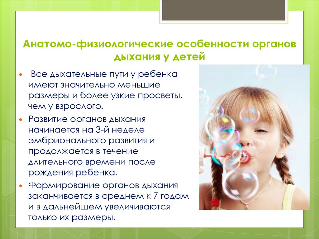 Вдох особенности. Гигиена органов дыхания у детей. Анатомо-физиологические особенности органов дыхания у детей. Дыхательная система для детей дошкольного возраста. Особенности дыхательной системы у детей.