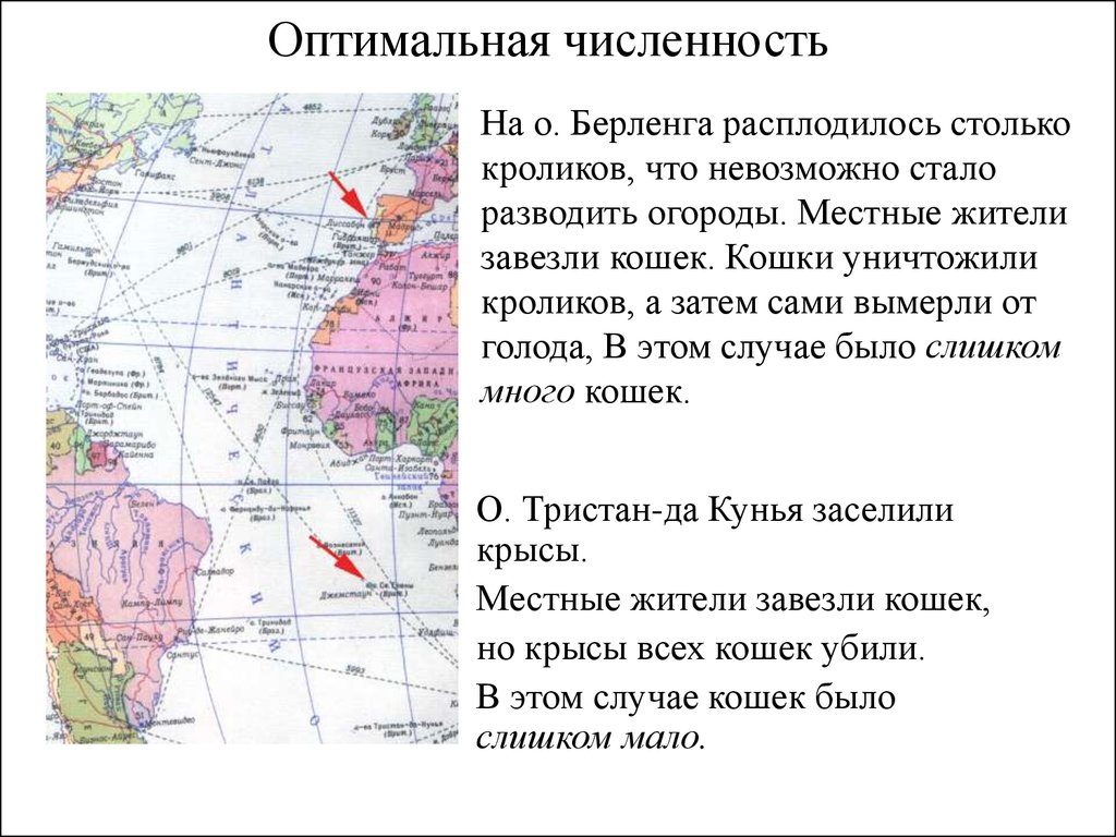 Оптимальная численность группы