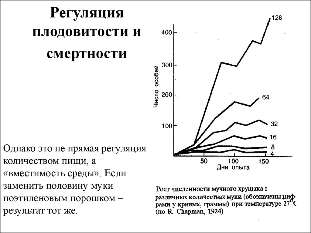 Почему высокая плодовитость. Смертность популяции. Типы динамики численности популяции. Регуляция плодовитости. Плодовитость это в биологии.