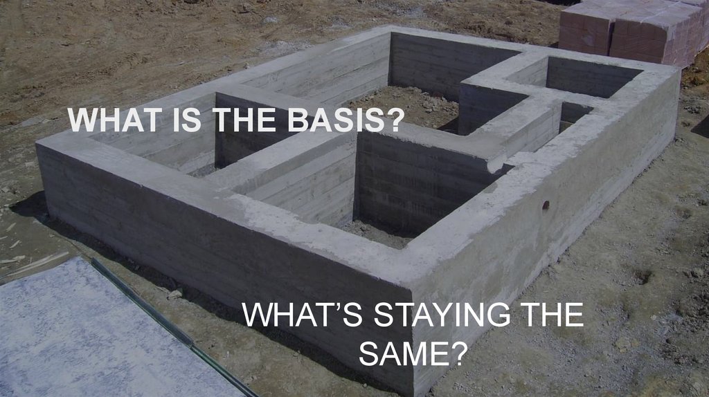 WHAT IS THE BASIS?