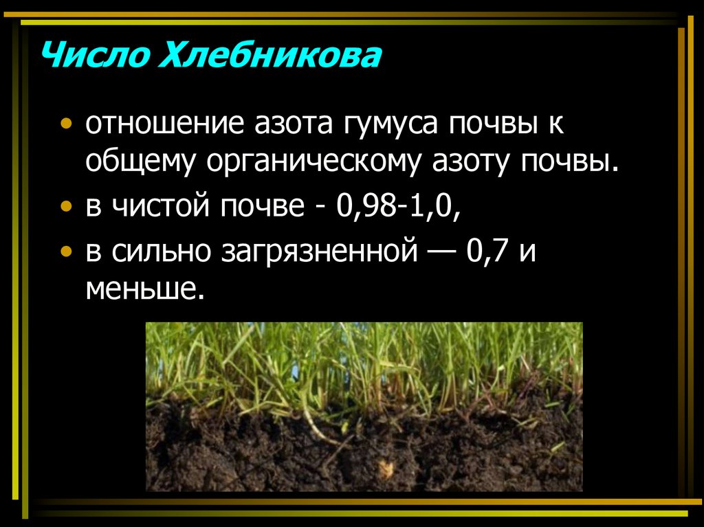 Гумус придает почве какой. Гумус почвы. Типы почв по содержанию гумуса. Содержание перегноя в почве. Содержание гумуса в почве.