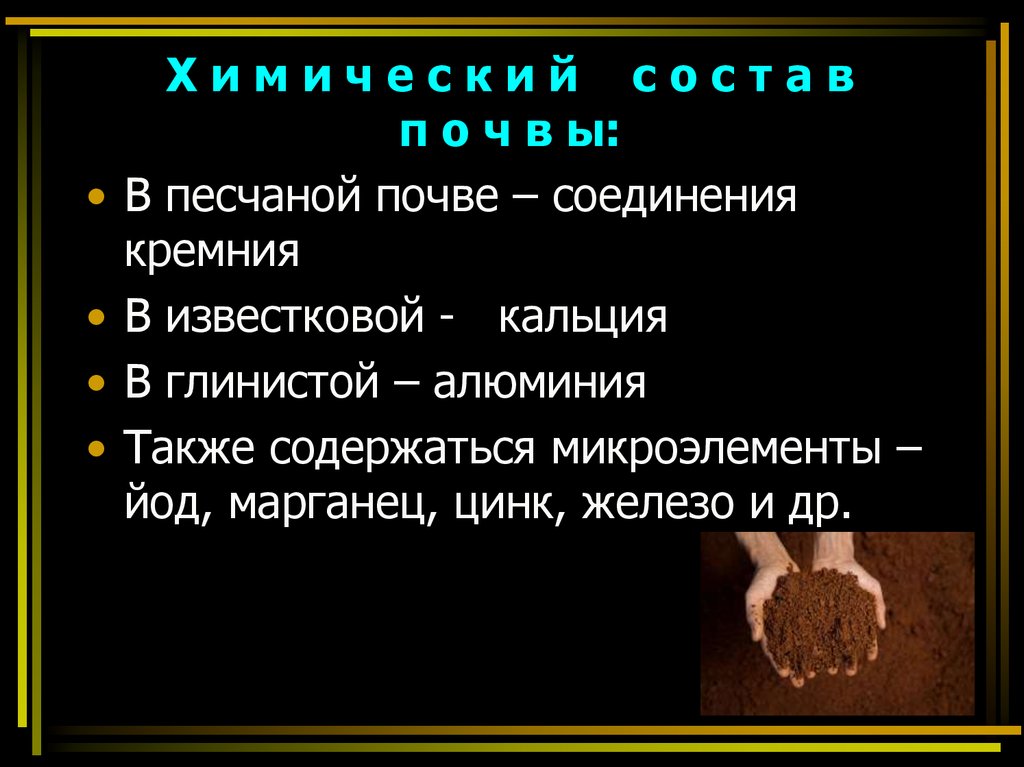 Х и м и ч е с к и й с о с т а в п о ч в ы: