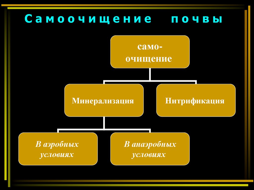 С а м о о ч и щ е н и е п о ч в ы