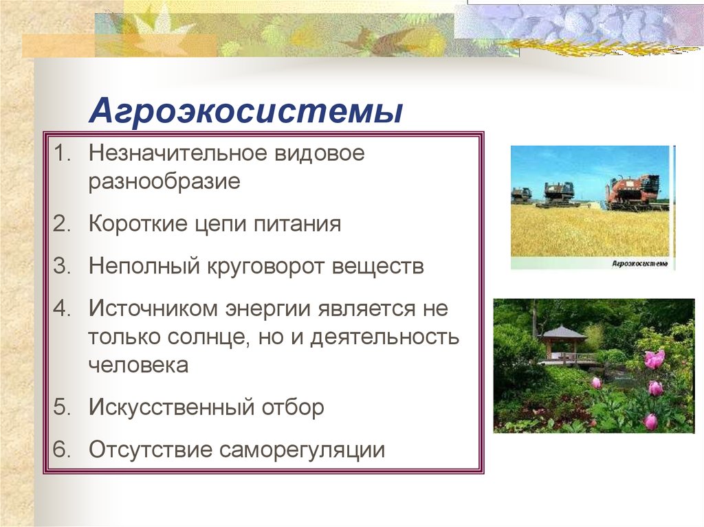 Каким образом природно. Агроэкосистема примеры. Примеры агроэкосистем. Видовое разнообразие агроэкосистемы. Природные экосистемы примеры.