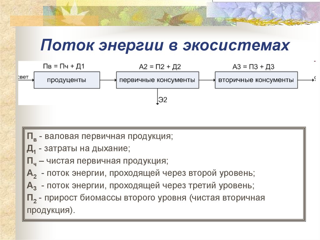 Изобразите в виде схемы потоки энергии в экосистемах