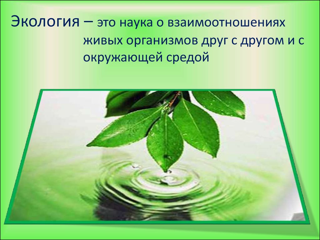 Презентация по экологии для студентов