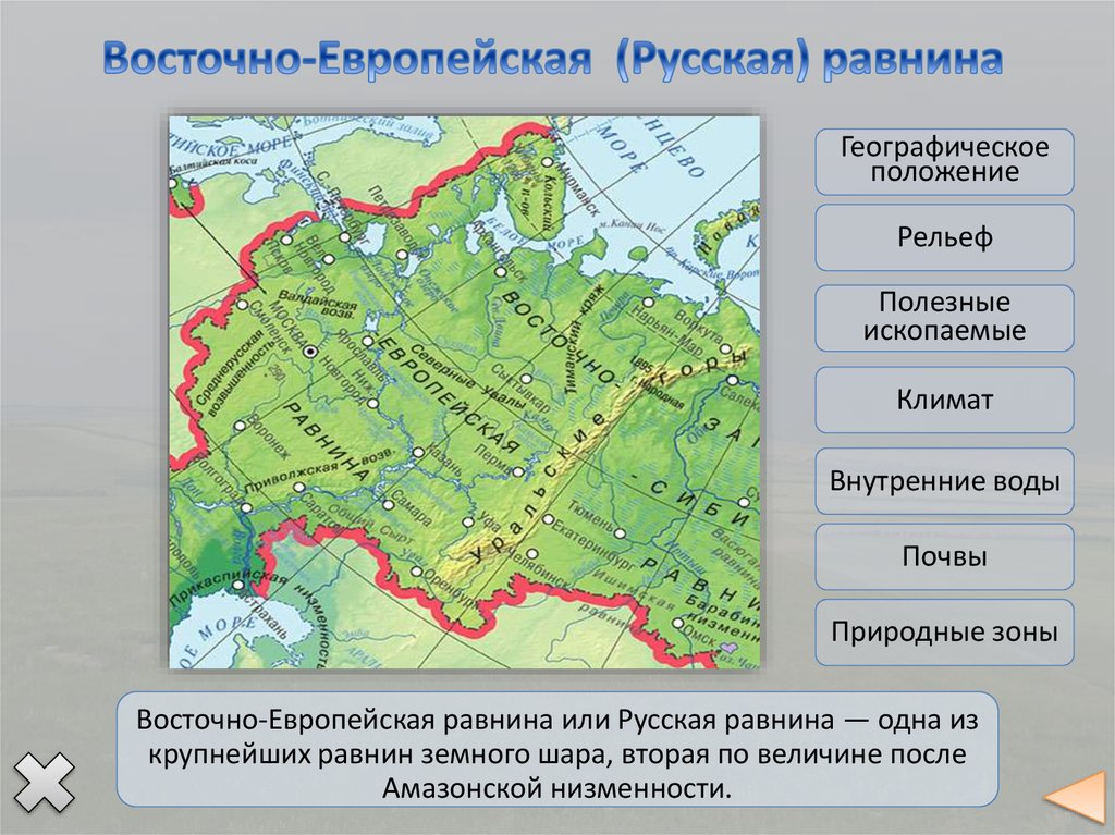 Восточно европейская равнина какие крупные города. Физико географическая карта Восточно европейской равнины. Восточно-европейская равнина географическое положение на карте. Карта климата Восточно европейской равнины. Восточно европейская равнина расположение на карте России.