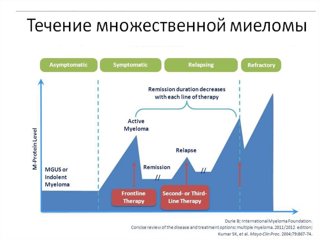 Патогенез множественной миеломы схема