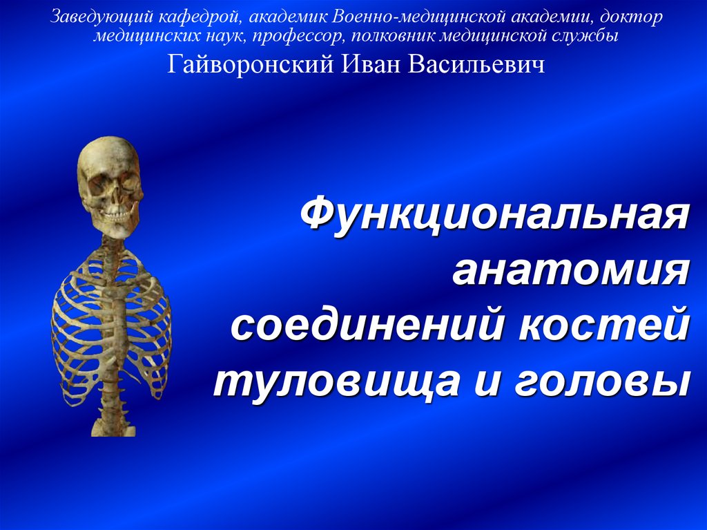 Соединение костей 6. Функциональная анатомия. Функциональная анатомия костей. Соединения костей туловища и головы. Соединение костей туловища.