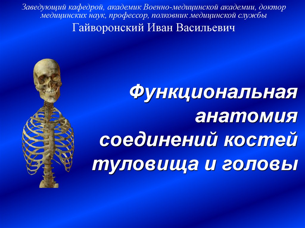 Соединение костей туловища. Функциональная анатомия. Функциональная анатомия костей туловища. Соединение костей туловища анатомия.