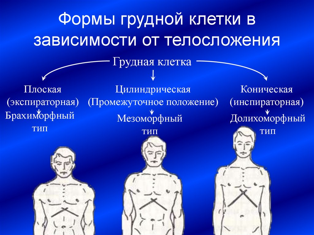 Положение грудной клетки. Нормостеническая форма грудной клетки. Астеническая форма грудной клетки у женщин. Форма грудной клетки плоская цилиндрическая коническая. Формы грудной клетки в норме и патологии у детей.